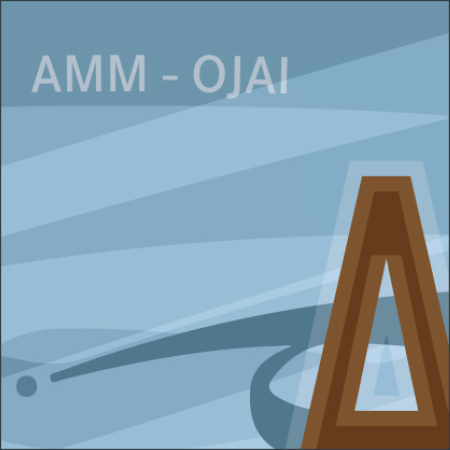 IATA Airport Design AMM – Bild 5