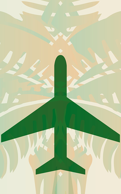 IATA Airport Design ABJ – Bild 3